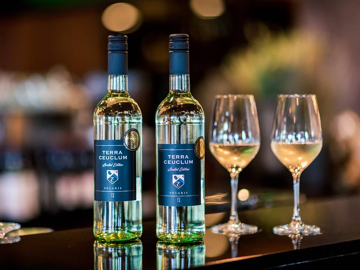 Koop uw Terra Ceuclum wijn online. Nederlandse witte wijn uit de wijngaard van Van der Valk in Cuijk. Online te bestellen in wijnshop van Valk Wines.